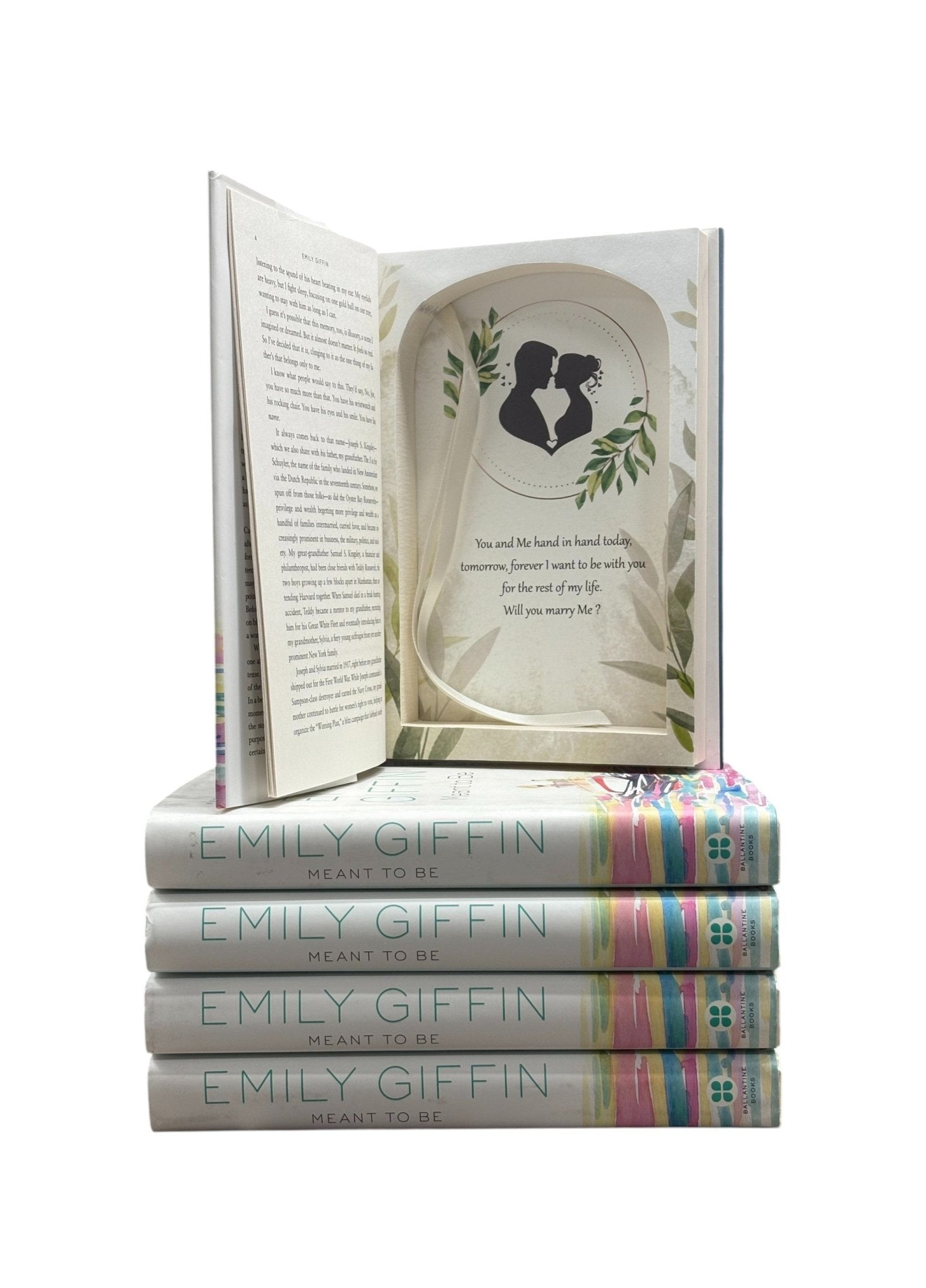 Meant To Be - Emily Giffin - Secret Storage Books