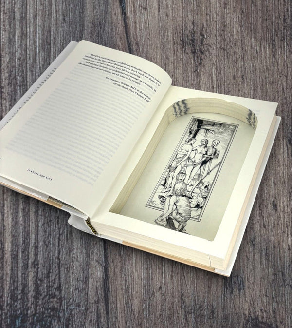 12 Rules for Life - Jordan B. Peterson - Secret Storage Books