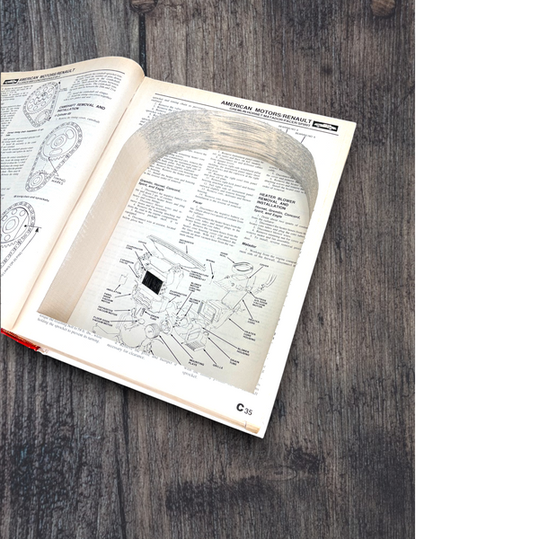 Chilton's Auto Repair Manual (1983)