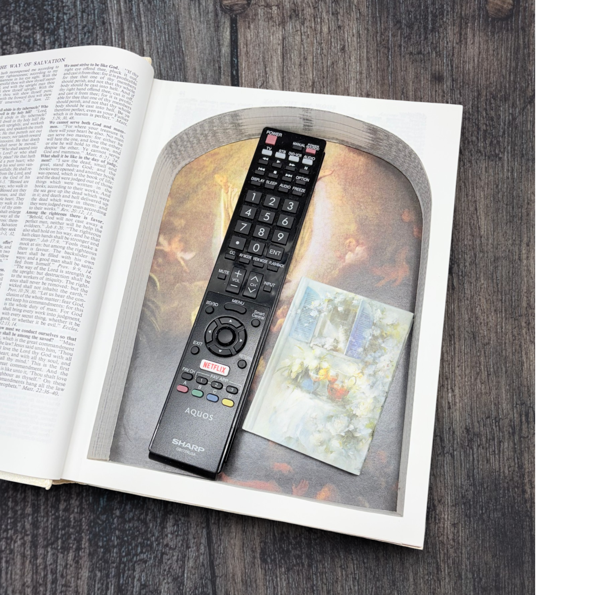 Holy Bible, Guiding Light Edition