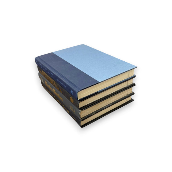 Mammoth & Various Titles - 4 Book Stack Safe
