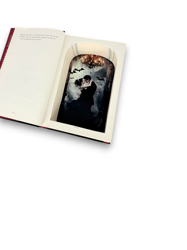 Breaking Dawn -  Stephanie Meyer