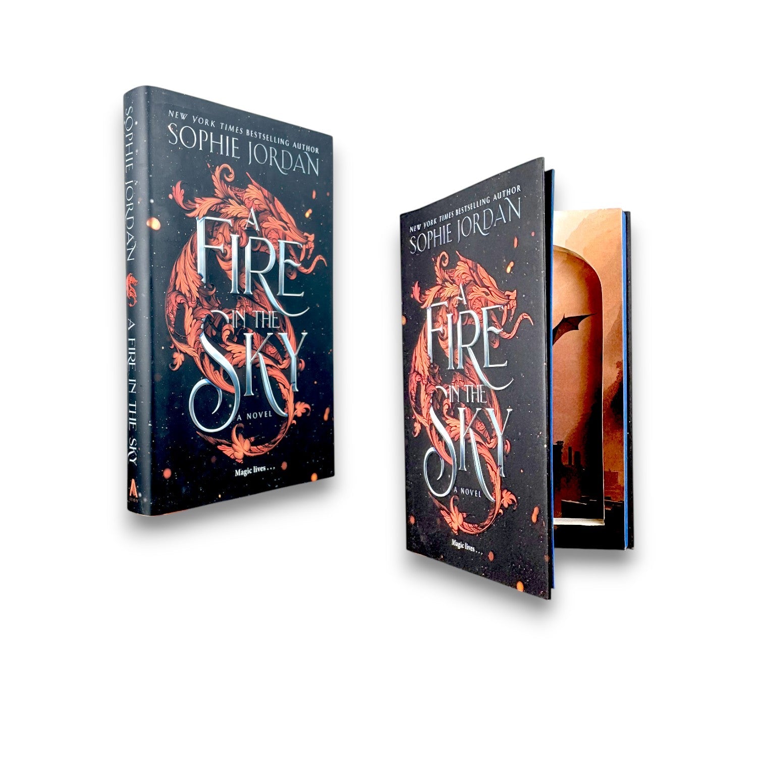 A Fire In The Sky - Sophie Jordan - Secret Storage Books