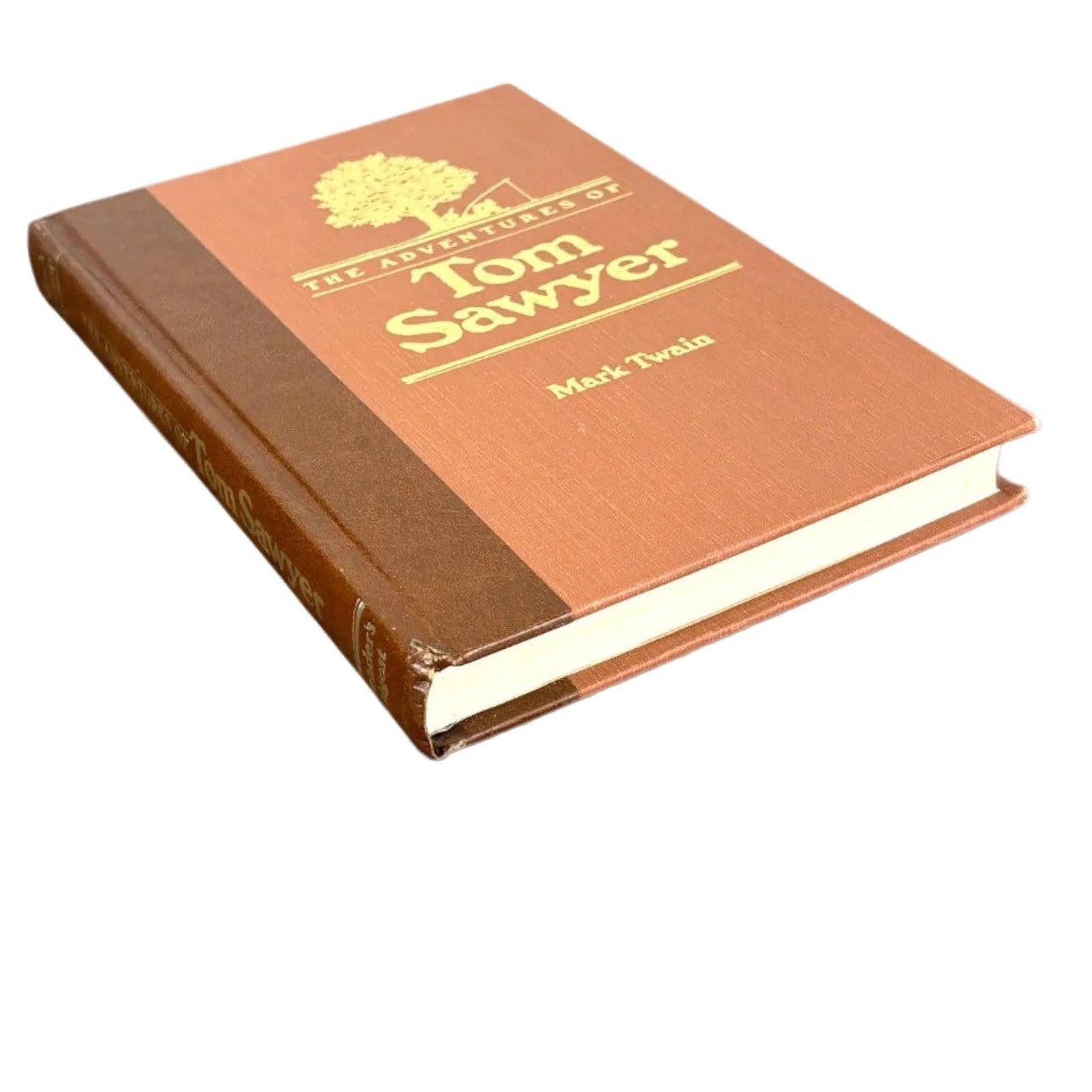 Adventures of Tom Sawyer, The - Mark Twain - Secret Storage Books