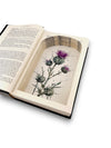 An Echo in the Bone (Outlander #7) - Diana Gabaldon - Secret Storage Books