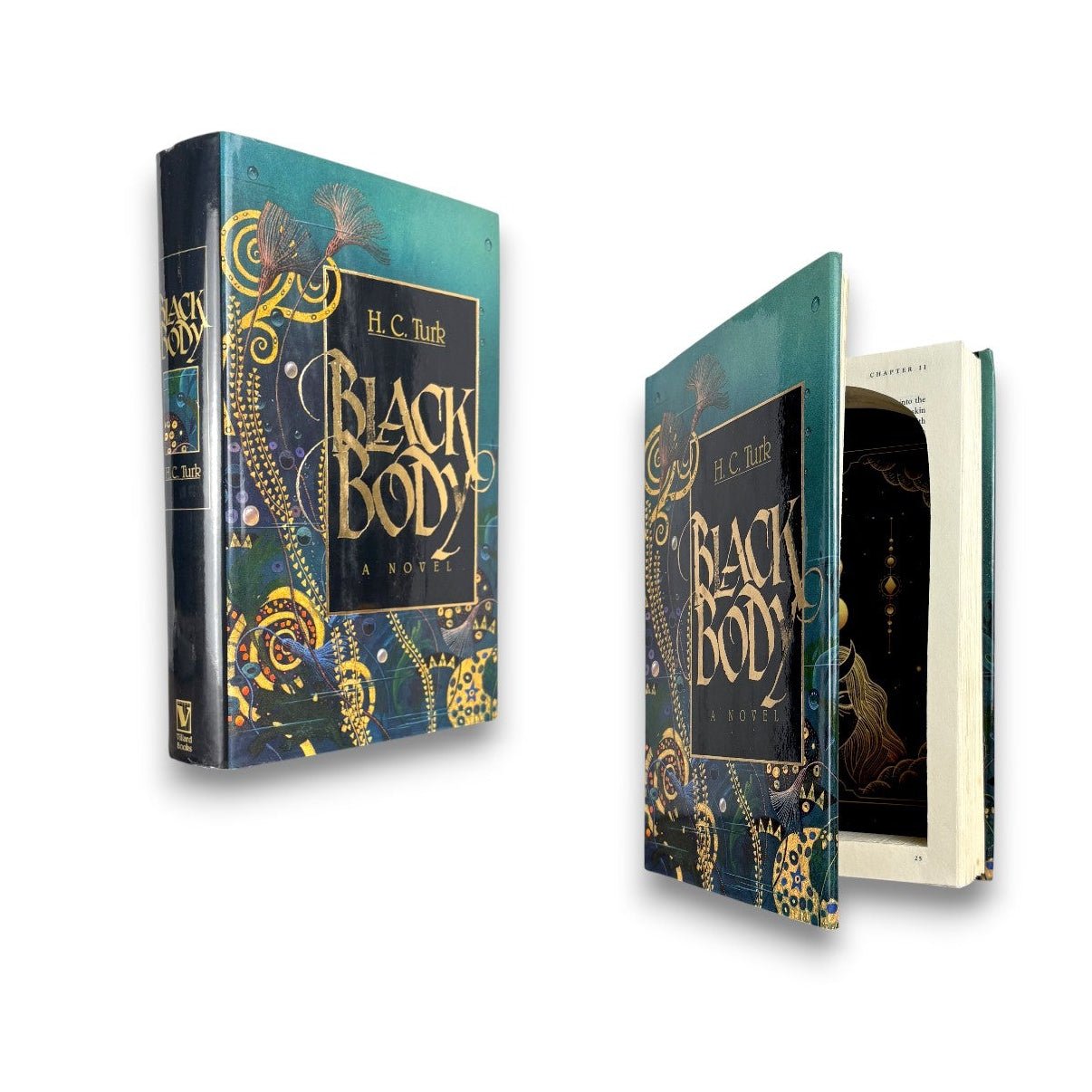 Black Body - H.C. Turk - Secret Storage Books