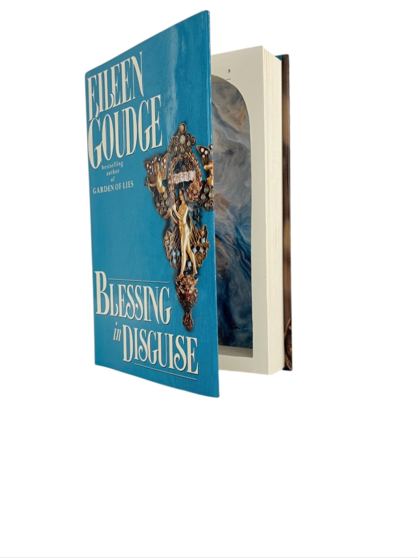 Blessing in Disguise - Eileen Goudge - Secret Storage Books