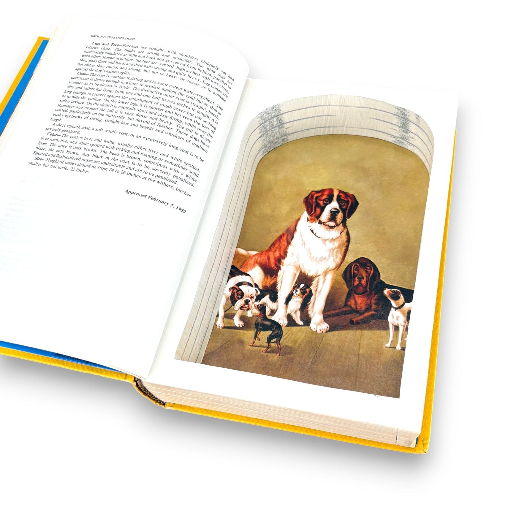 Complete Dog Book, The - American Kennel Club - Secret Storage Books