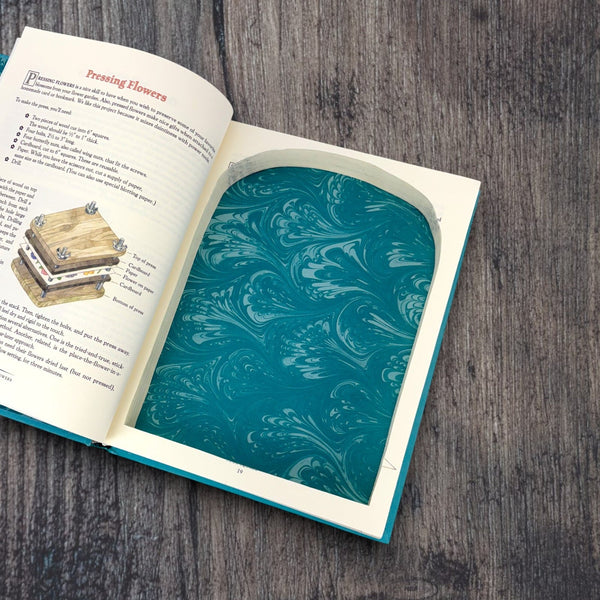 Daring Book for Girls, The - Andrea J. Buchanan & Miriam Perkowitz - Secret Storage Books