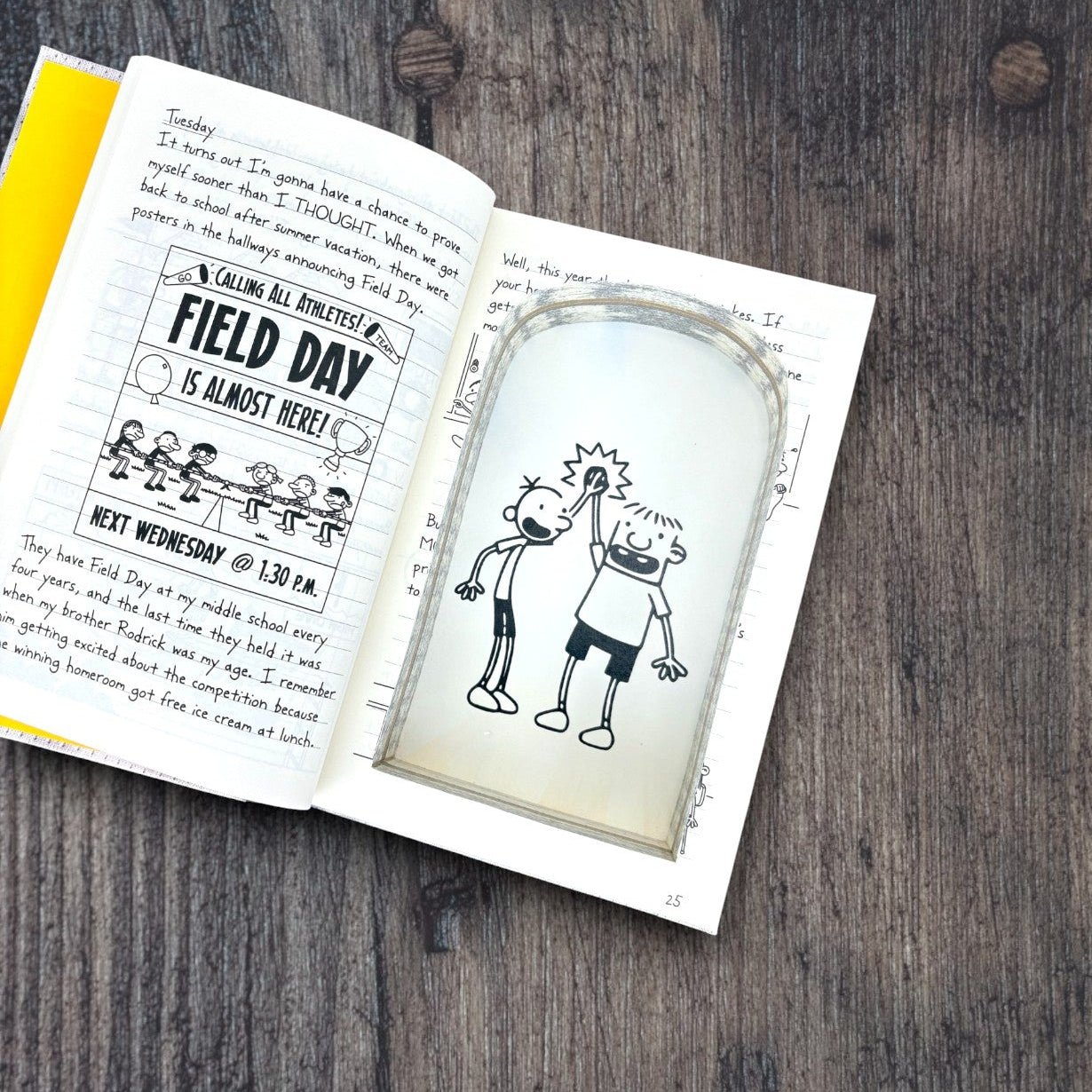 Diary of a Wimpy Kid - Jeff Kinney 2 - Secret Storage Books