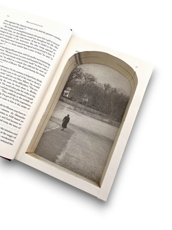 Einstein His Life and Universe - Walter Isaacson - Secret Storage Books