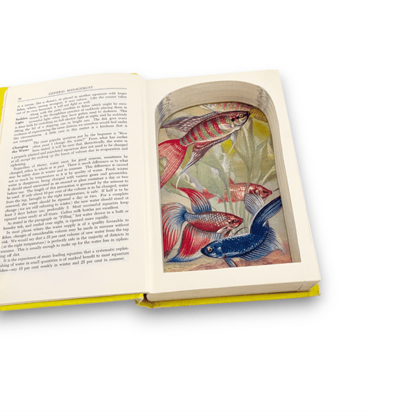 Exotic Aquarium Fishes - Dr. William T. Innes - Secret Storage Books