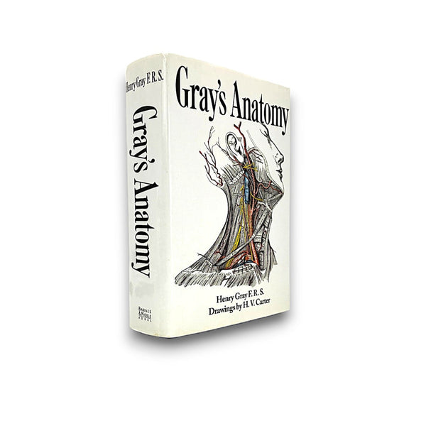 Gray's Anatomy - Henry Gray F.R.S. - Secret Storage Books