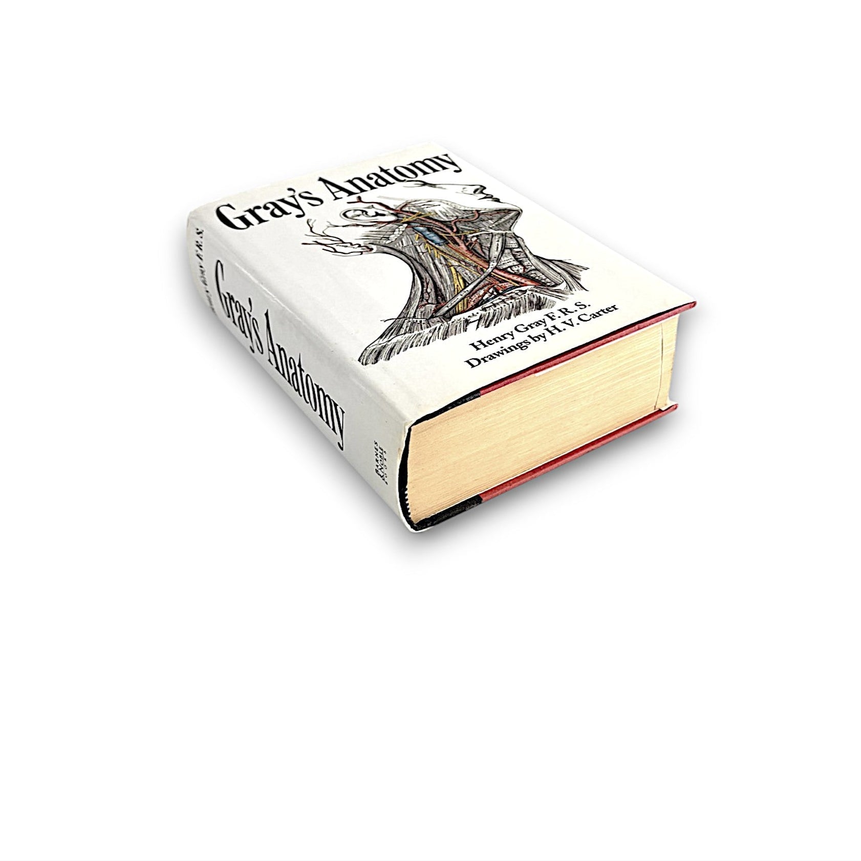 Gray's Anatomy - Henry Gray F.R.S. - Secret Storage Books