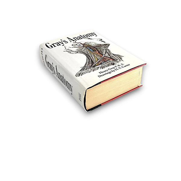 Gray's Anatomy - Henry Gray F.R.S. - Secret Storage Books