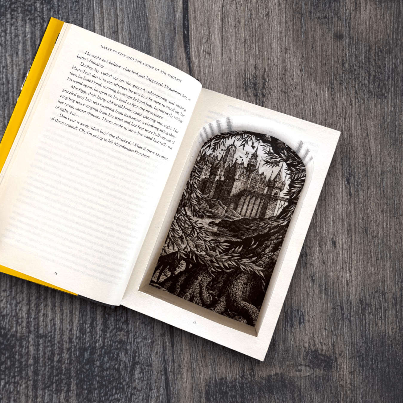 Harry Potter & The Order of The Phoenix - J.K. Rowling - Secret Storage Books