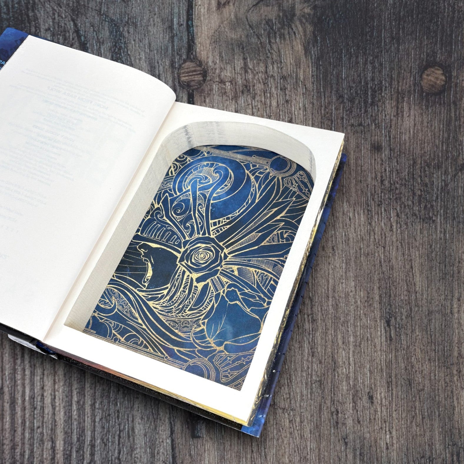 Heaven Breaker - Sara Wolf - Secret Storage Books