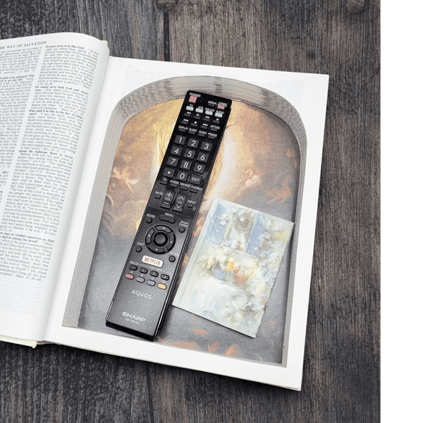 Holy Bible, Guiding Light Edition - Secret Storage Books