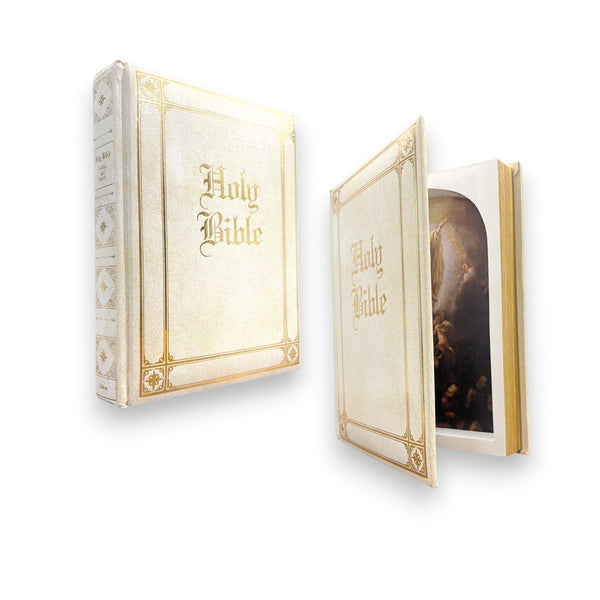Holy Bible, Guiding Light Edition - Secret Storage Books
