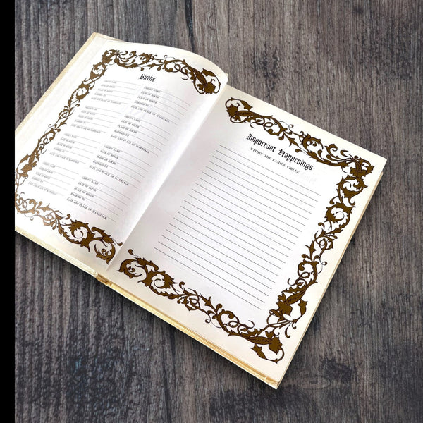 Holy Bible, Guiding Light Edition - Secret Storage Books