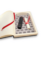 HOLY BIBLE - King James Version - Secret Storage Books