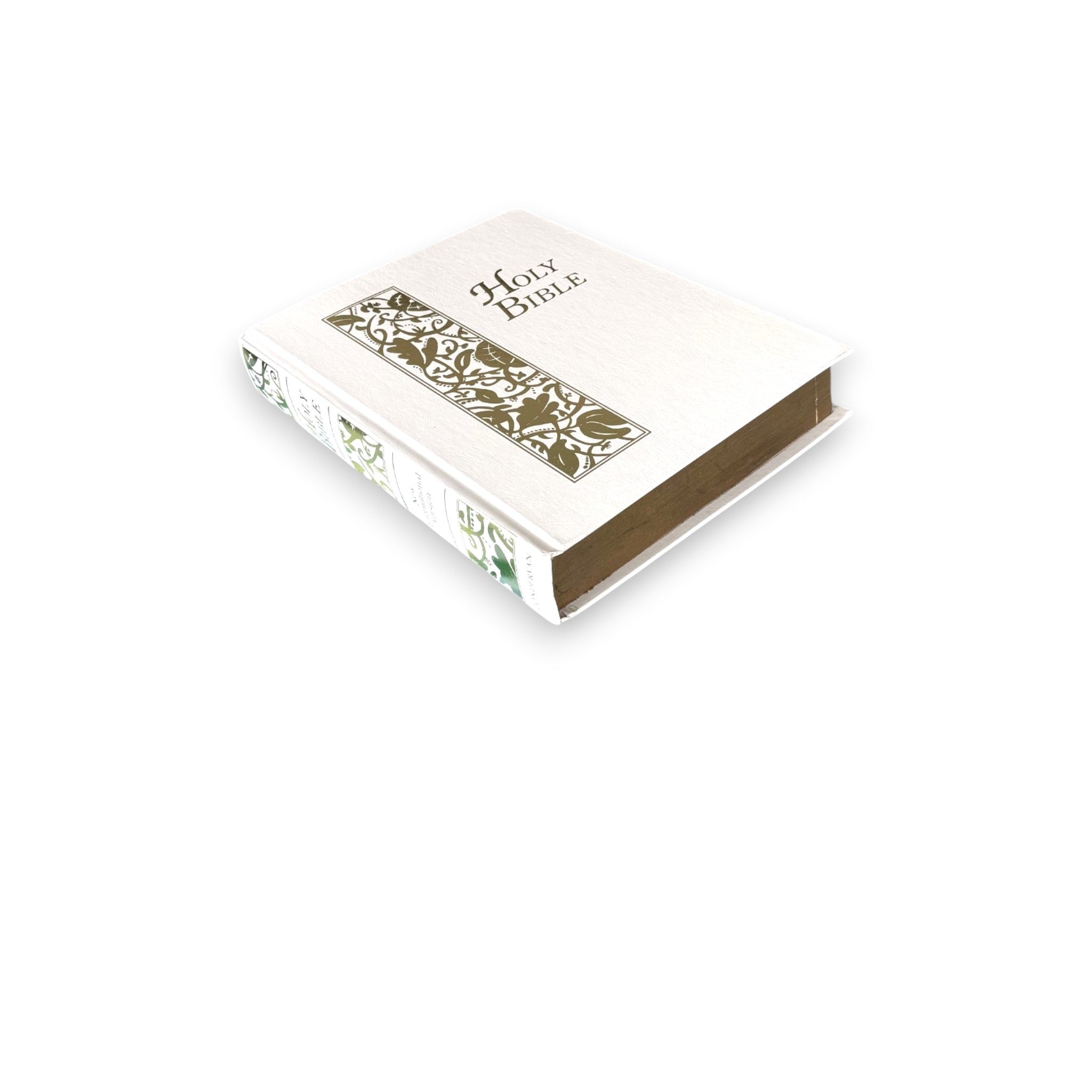 Holy Bible - New International Version - Secret Storage Books