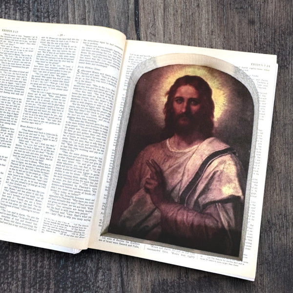 Holy Bible - New International Version - Secret Storage Books