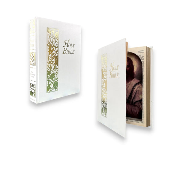 Holy Bible - New International Version - Secret Storage Books
