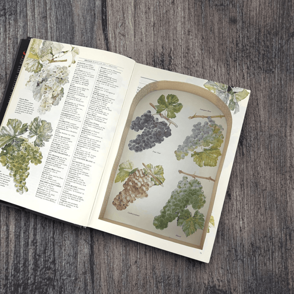 Hugh Johnson's Wine Companion - Second Edition - Secret Storage Books