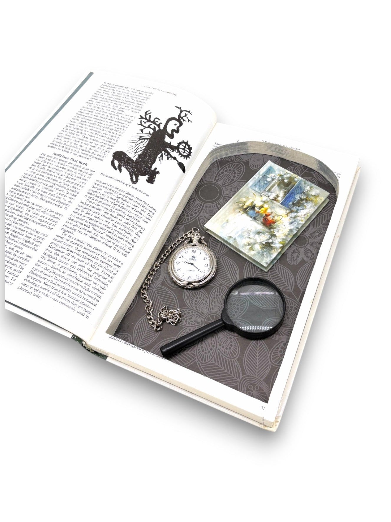 Magic and Medicine of Plants - Reader's Digest - Secret Storage Books