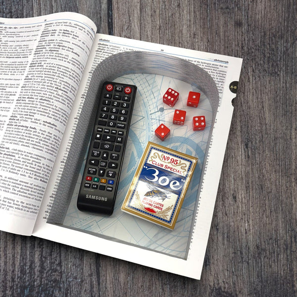 MOSBY'S MEDICAL, NURSING, & ALLIED HEALTH DICTIONARY - 5TH EDITION - Secret Storage Books