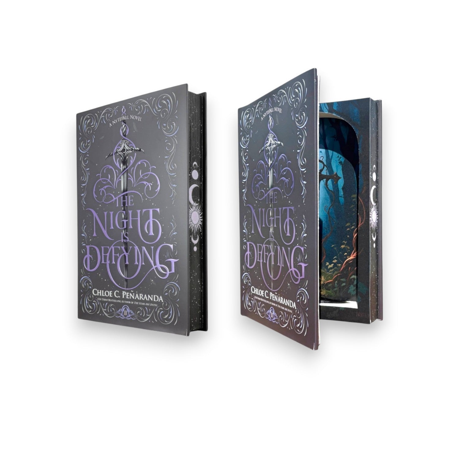 Night is Defying, The - Chloe C. Penaranda - Secret Storage Books