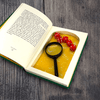 Pocket Dangerous Book for Boys, The - Secret Storage Books