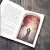 Rapture - Lauren Kate - Secret Storage Books