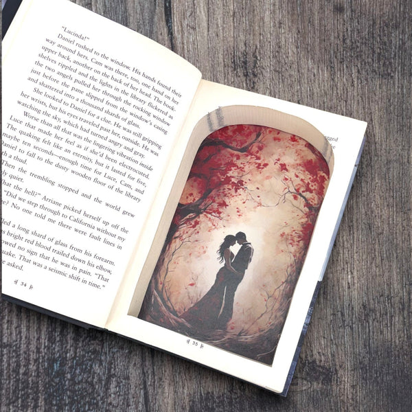 Rapture - Lauren Kate - Secret Storage Books