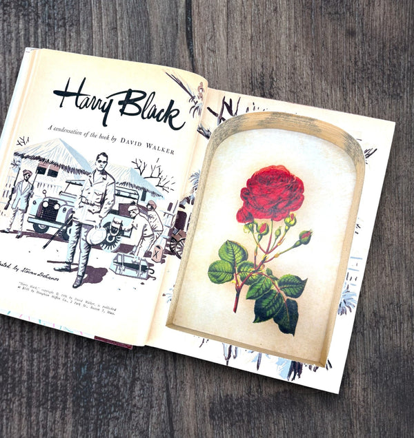 Reader's Digest Condensed - Summer 1956 Collections - Secret Storage Books