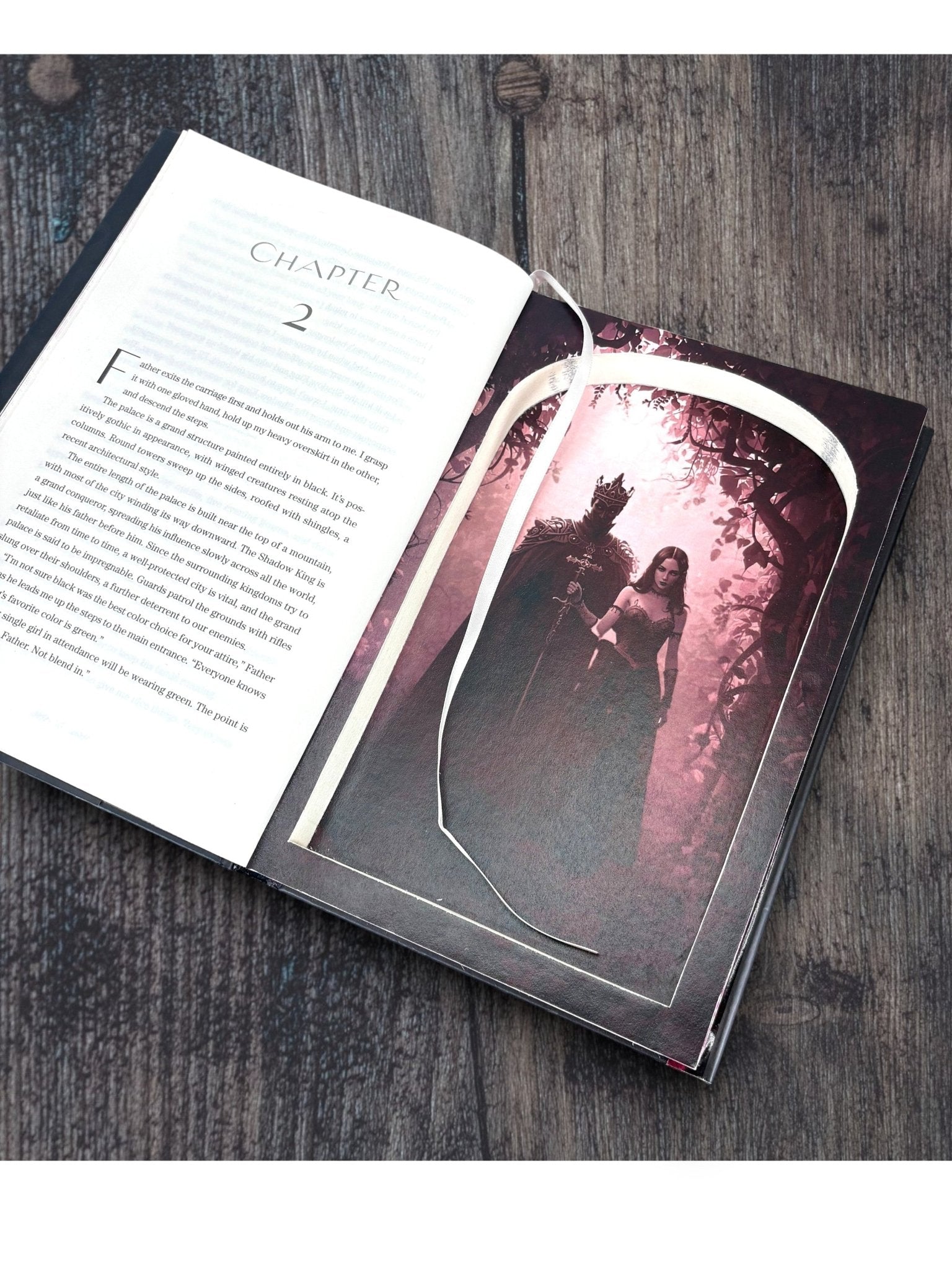 Shadows Between Us, The - Tricia Levenseller - Secret Storage Books