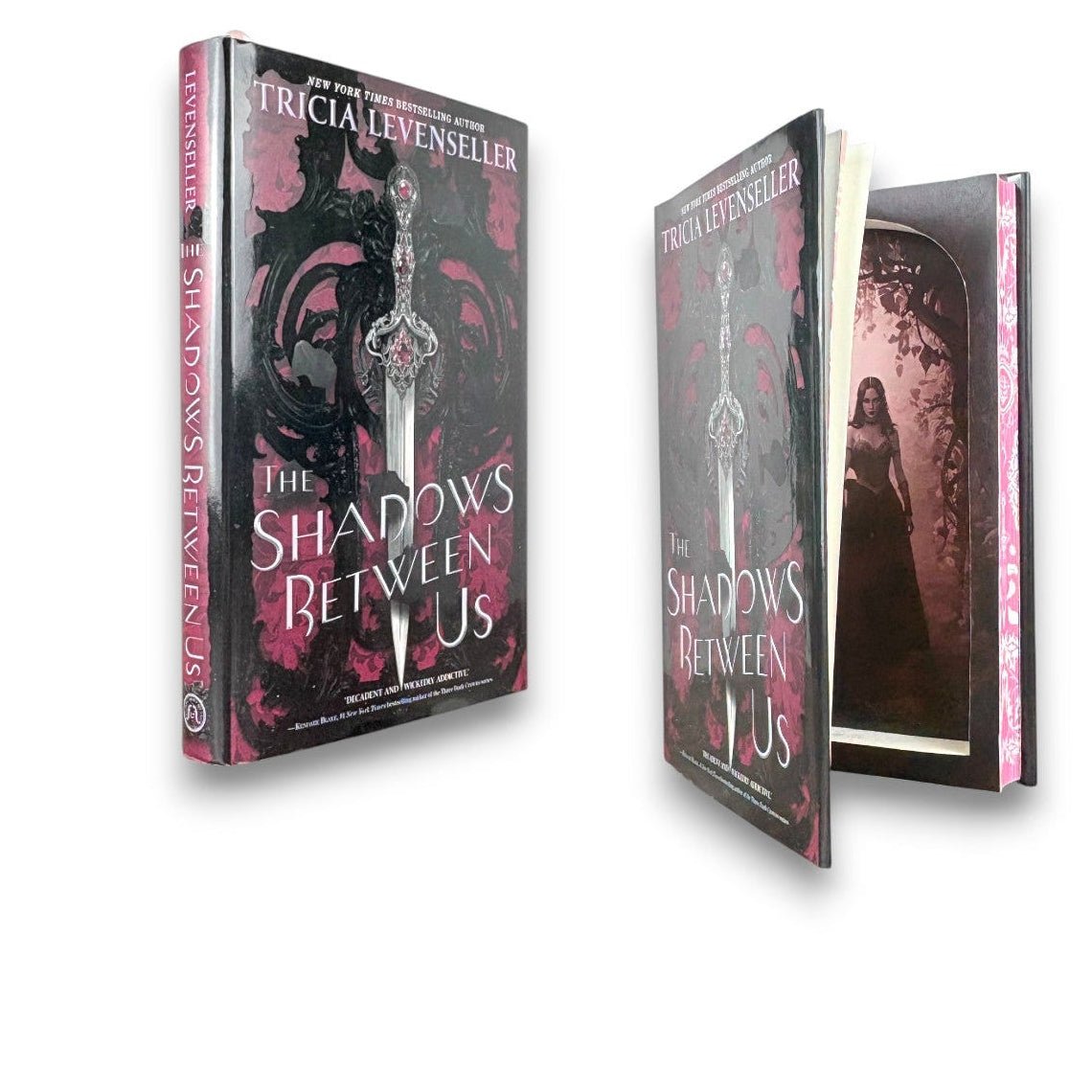 Shadows Between Us, The - Tricia Levenseller - Secret Storage Books