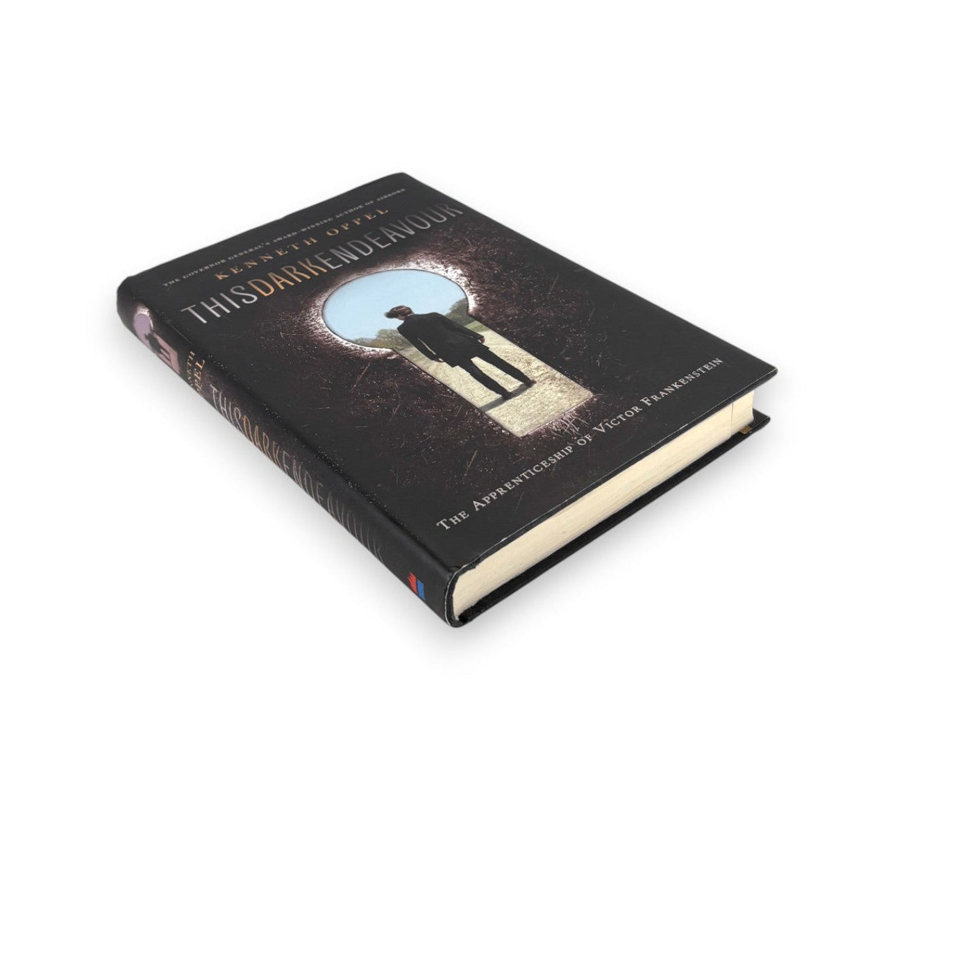 This Dark Endeavour - Kenneth Oppel - Secret Storage Books