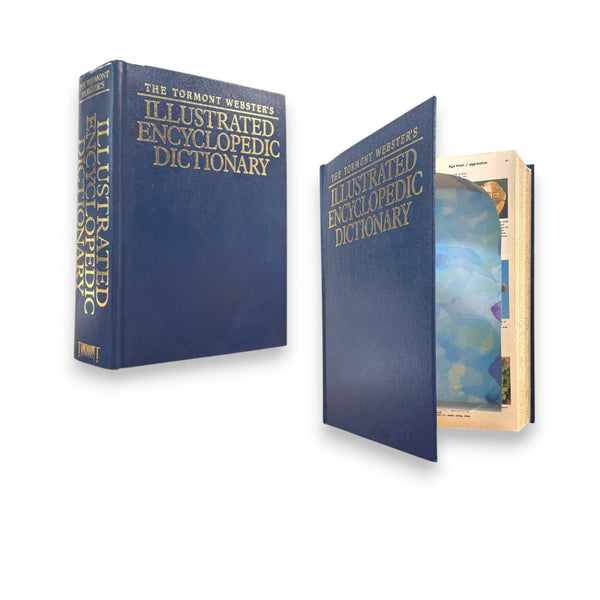 Tormont Webster's Illustrated Encyclopedic Dictionary - Book Safe - XLarge - Secret Storage Books