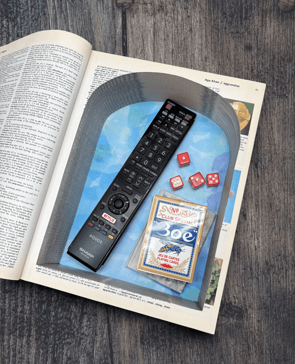 Tormont Webster's Illustrated Encyclopedic Dictionary - Book Safe - XLarge - Secret Storage Books