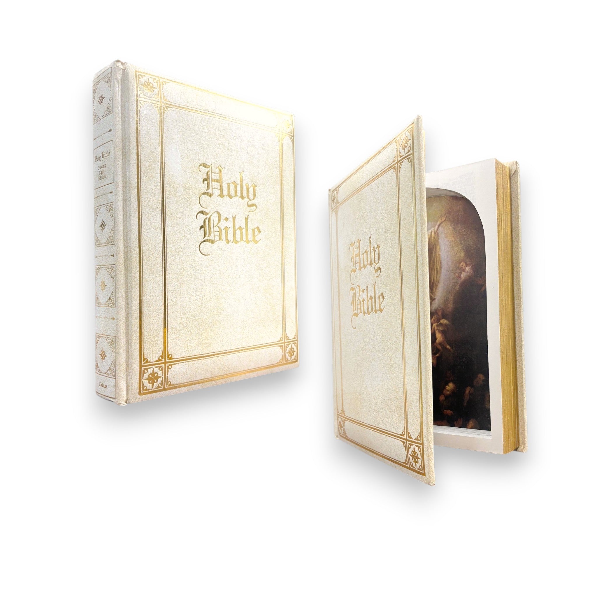 Holy Bible, Guiding Light Edition