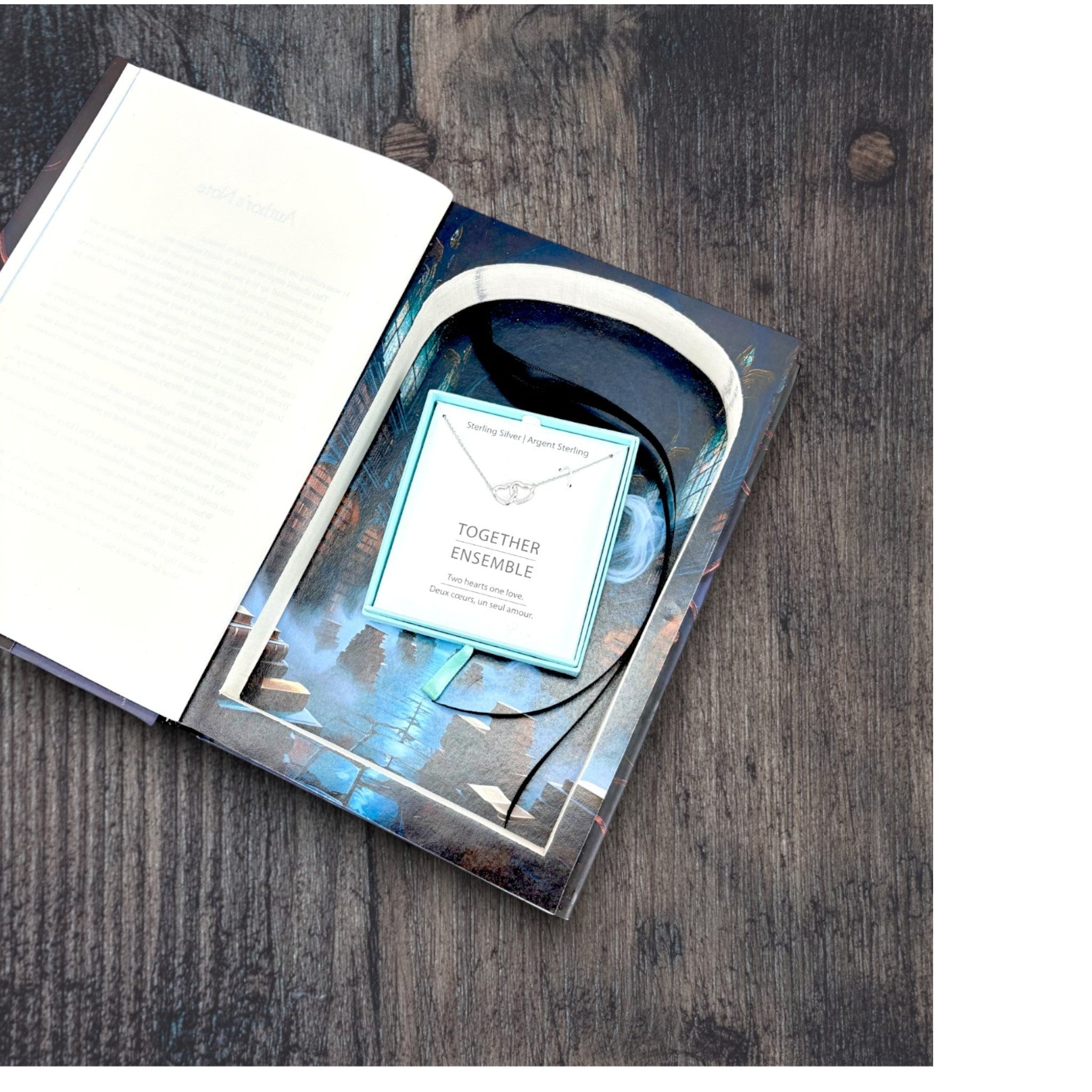 Wren in the Holly Library, The - K.A. Linde - Secret Storage Books