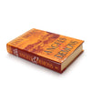 Angels and Demons Dan Brown - Popular Book Safe - Secret Storage Books