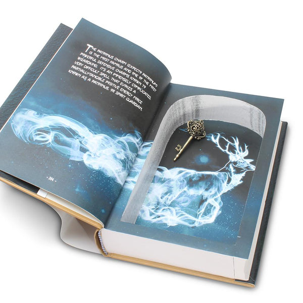 Defense Against the Dark Arts - Hollow Book Safe for Harry Potter fans - Secret Storage Books