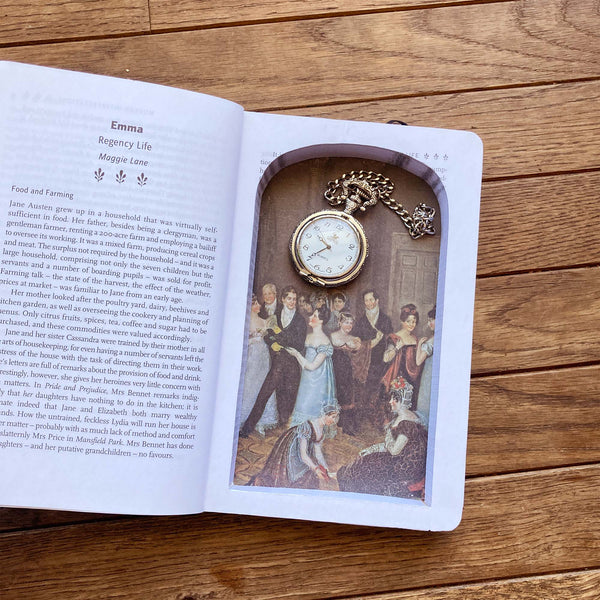 Emma by Jane Austen - Softcover Book Safe - Secret Storage Books