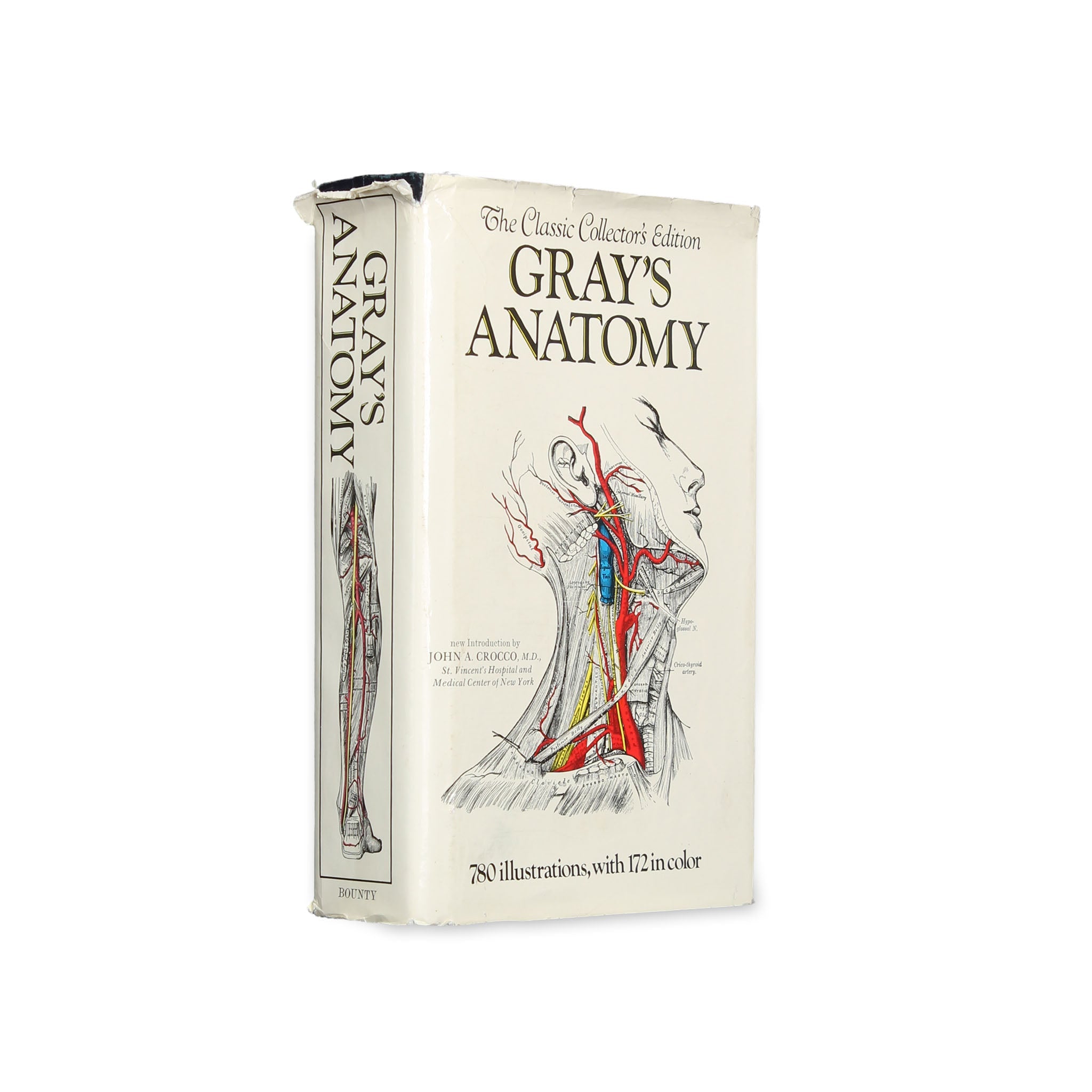 Gray's Anatomy - XL Vintage Book Safe - Secret Storage Books