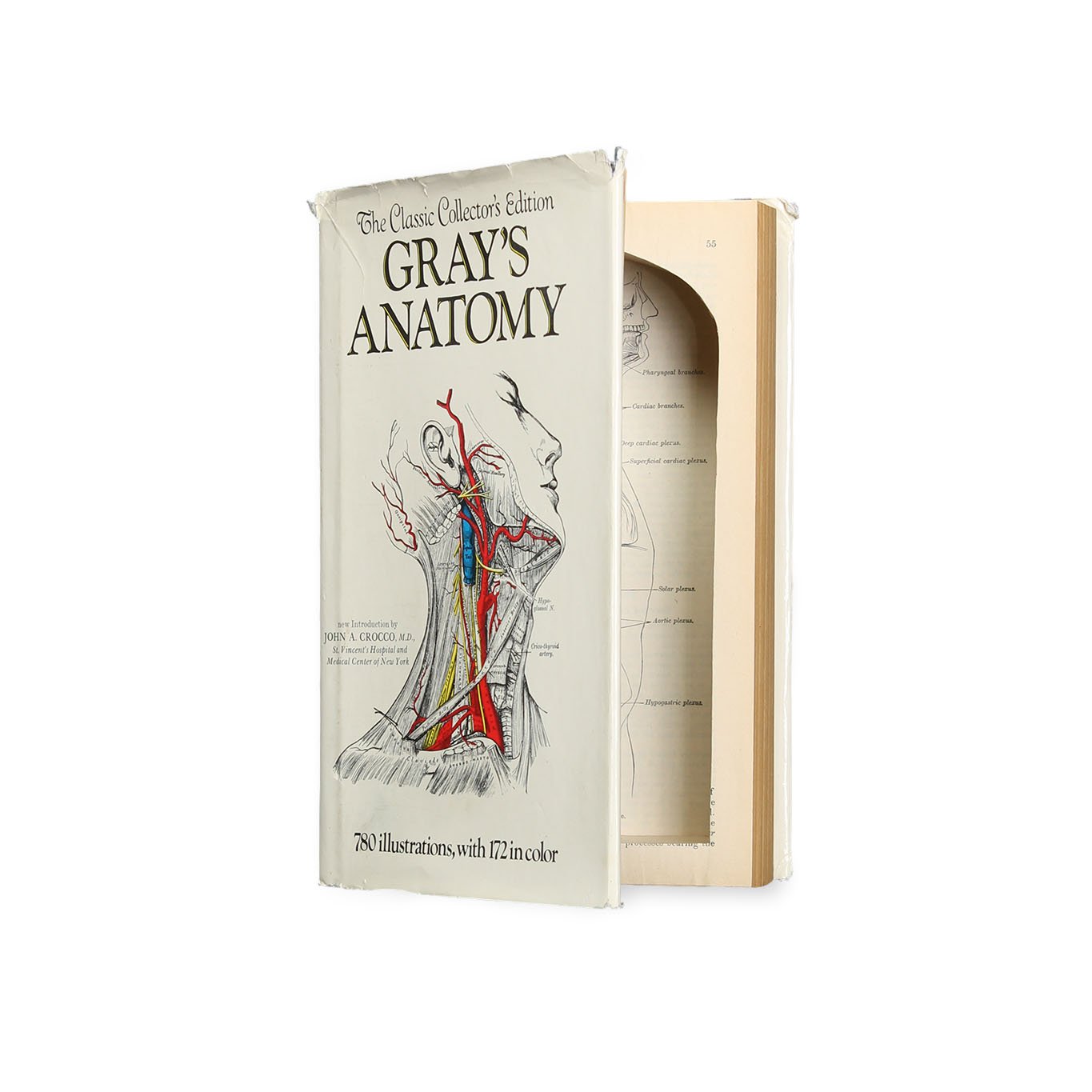 Gray's Anatomy - XL Vintage Book Safe - Secret Storage Books