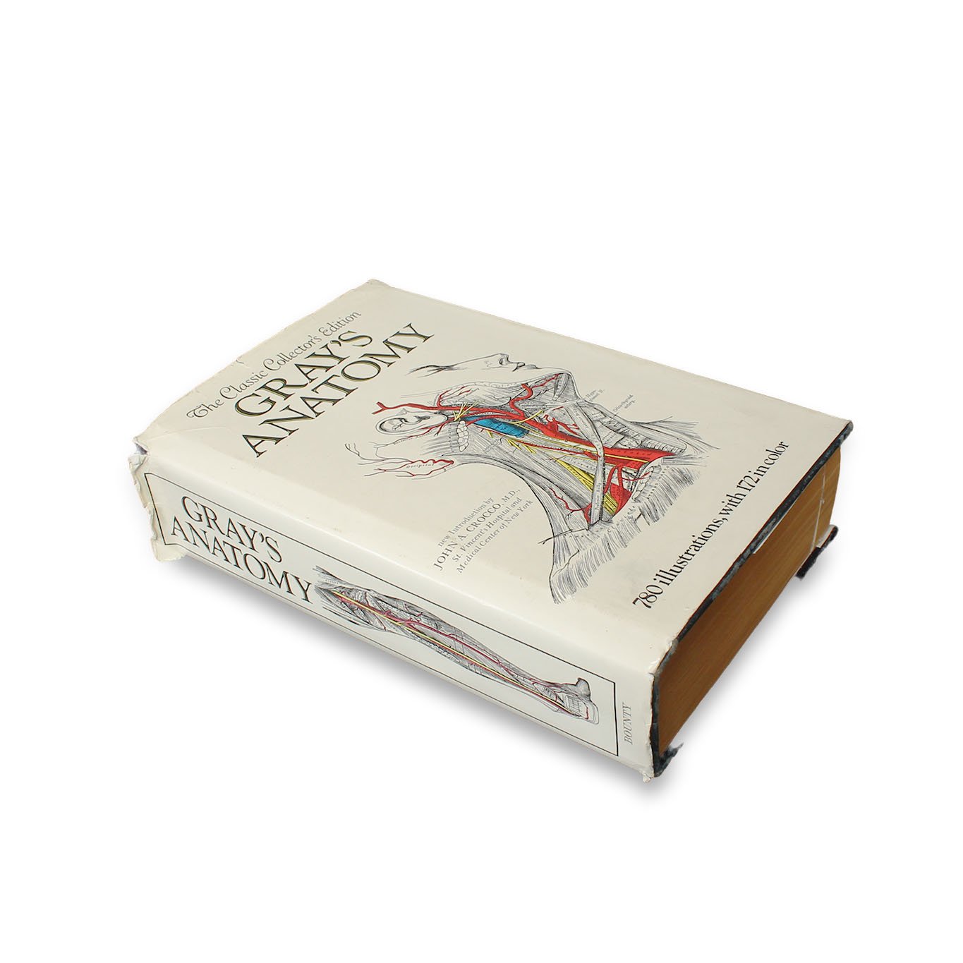 Gray's Anatomy - XL Vintage Book Safe - Secret Storage Books