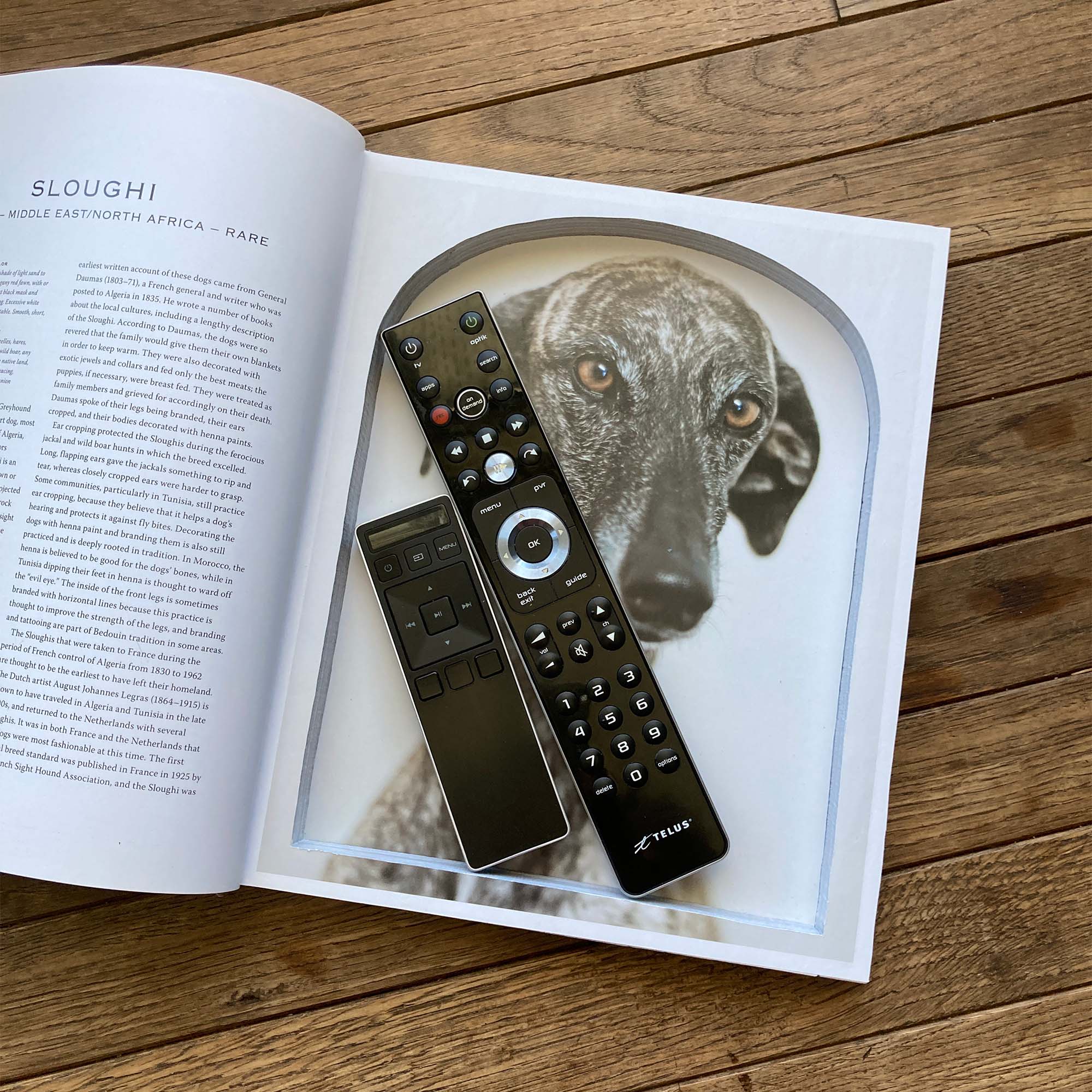 Spirit of the Dog - Coffee Table Book Safe - Secret Storage Books